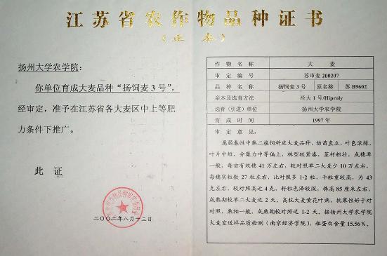 飼、食兼用大麥品種——揚飼麥3號 國家保護授權(quán)品種轉(zhuǎn)讓與技術(shù)推廣