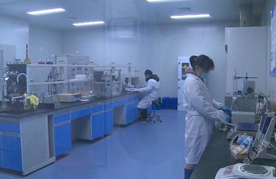 協商在一線 | 市政協調研支持中小企業提升研發能力工作 技術服務與技術成果轉讓的協同路徑